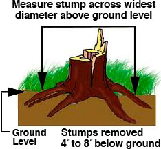 How to measure for stump removal estimates